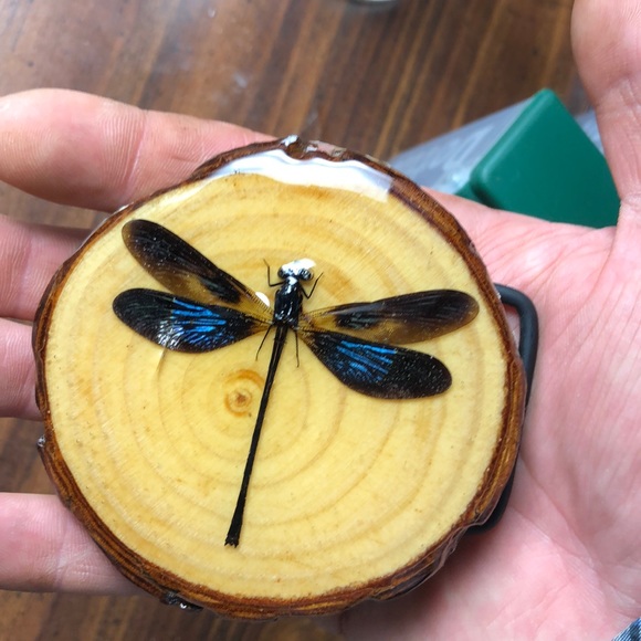 Dragonfly belt buckle - Picture 1 of 3